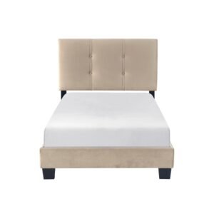 1350brt 1 nobg l.jpg