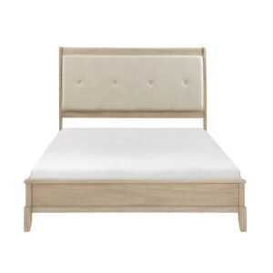 1730nb 1 nobg front 2 l 2.jpg